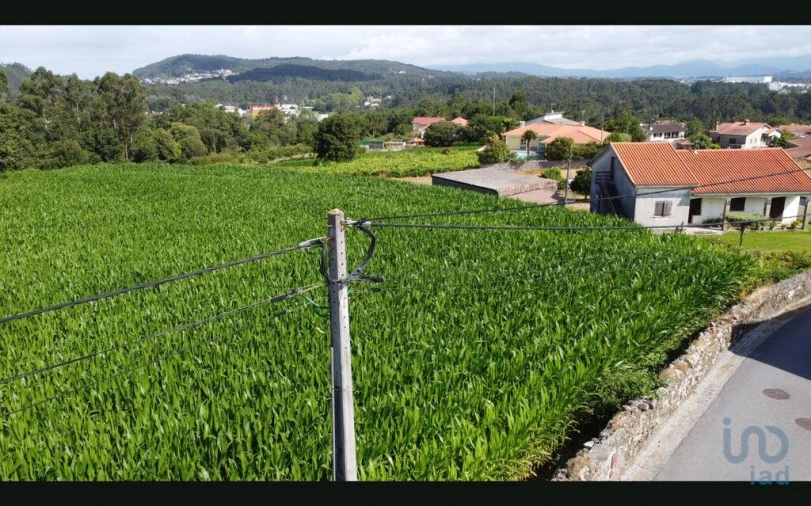 Terreno para Venda em Antas Foto 10