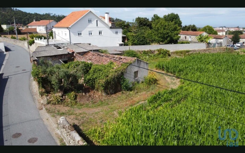 Terreno para Venda em Antas Foto 14