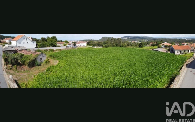 Terreno para Venda em Antas Foto 15