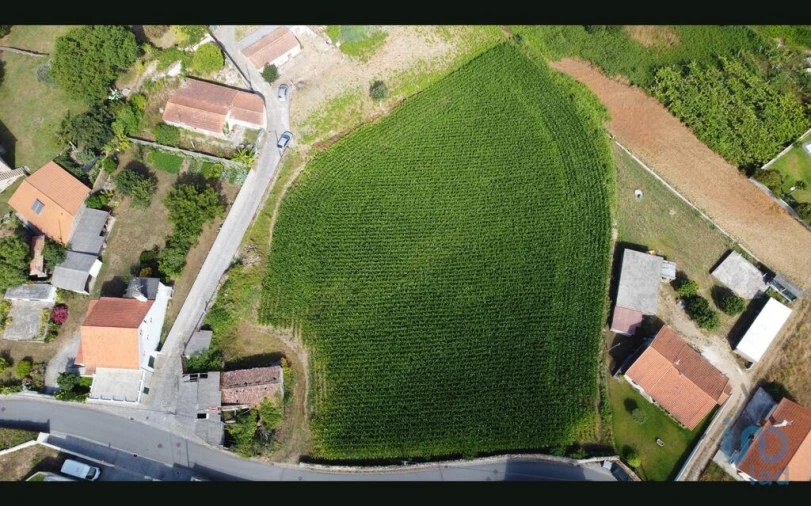 Terreno para Venda em Antas Foto 6
