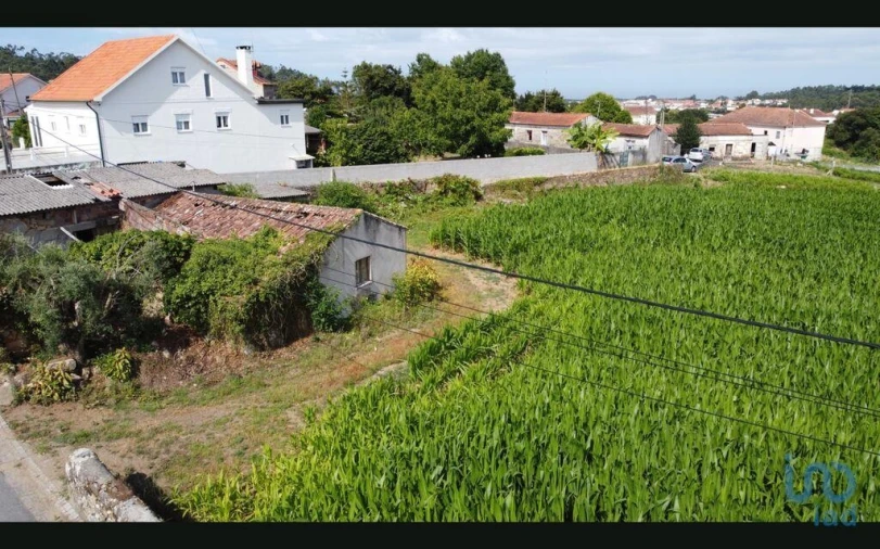 Terreno para Venda em Antas Foto 13