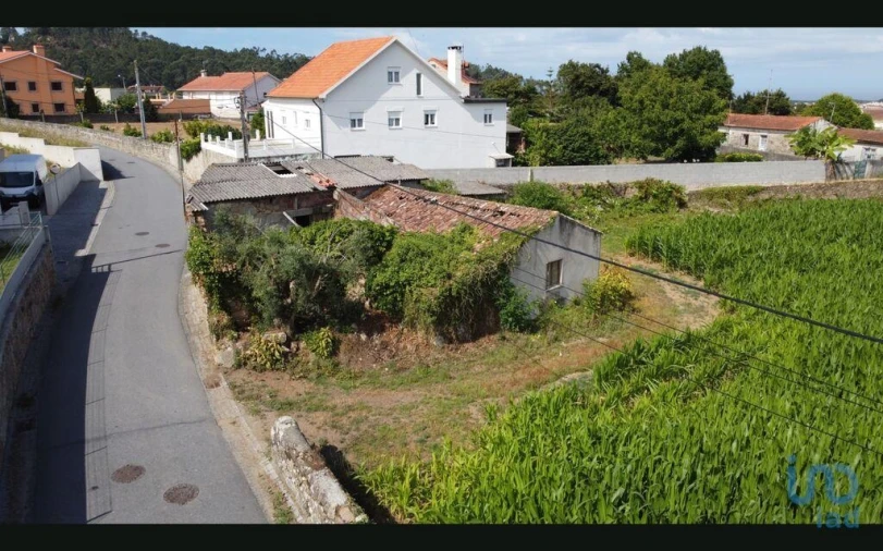 Terreno para Venda em Antas Foto 11