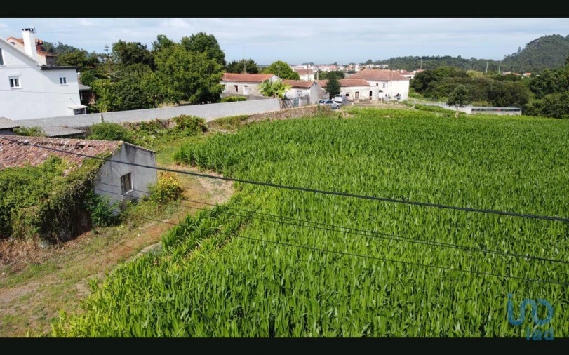 Terreno para Venda em Antas Foto 12