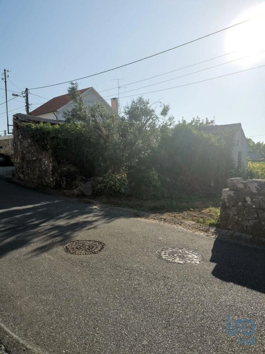 Terreno para Venda em Antas Foto 4
