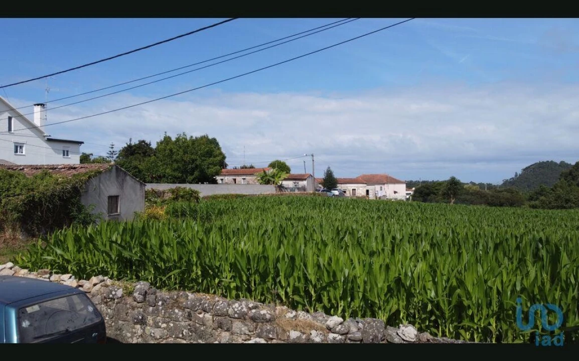 Terreno para Venda em Antas Foto 8
