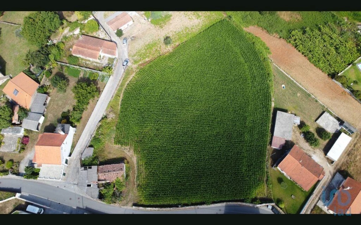 Terreno para Venda em Antas Foto 5