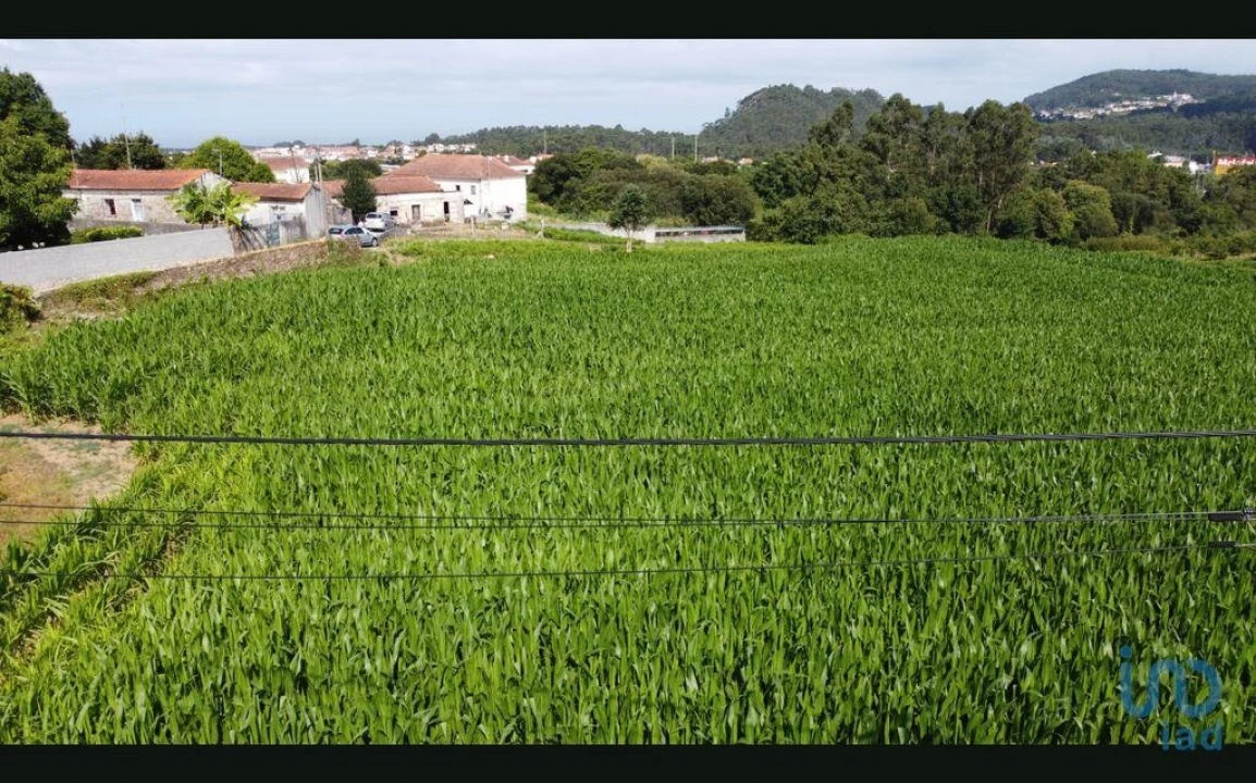 Terreno para Venda em Antas Foto 9