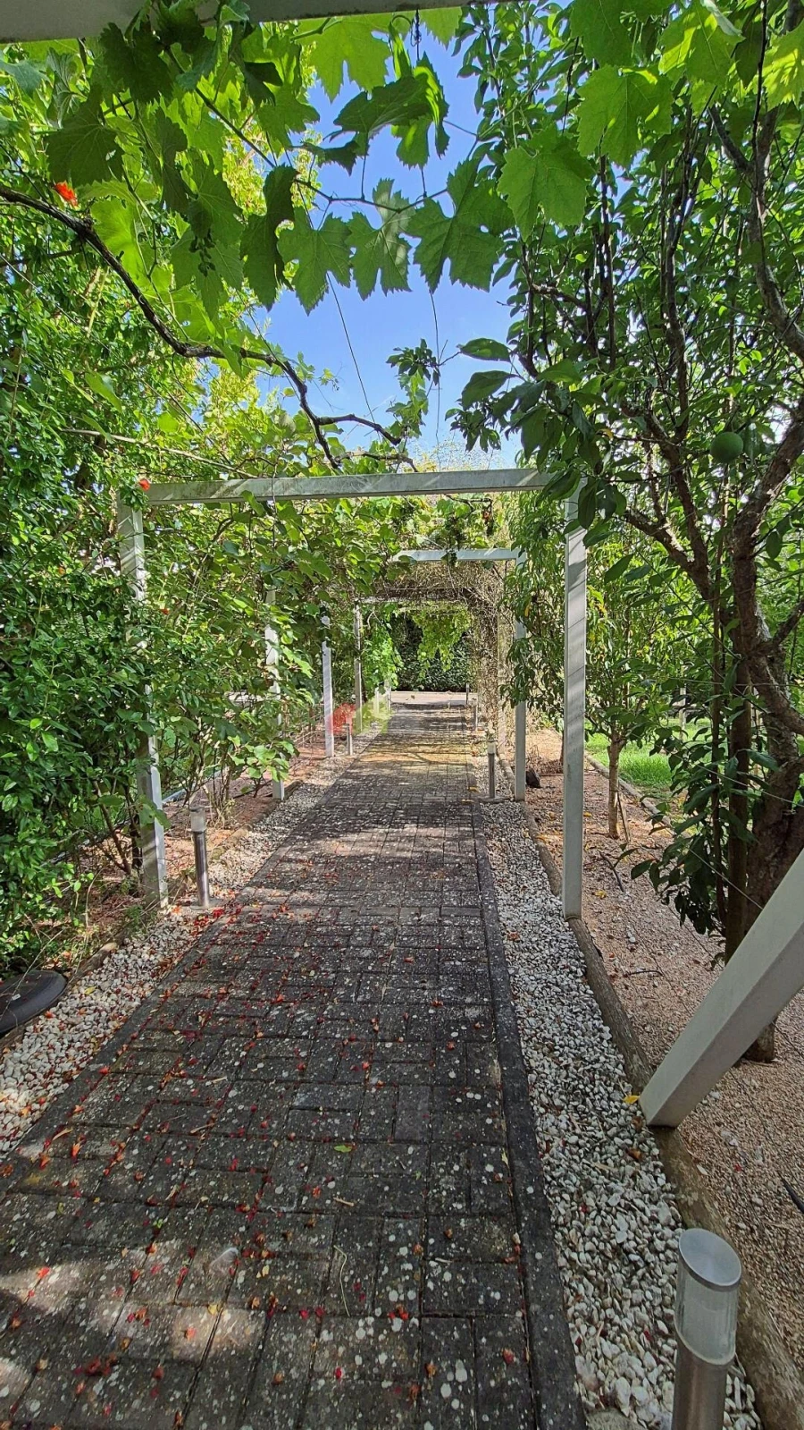 Moradia T7 para Venda em Sobral de Monte Agraço Foto 103