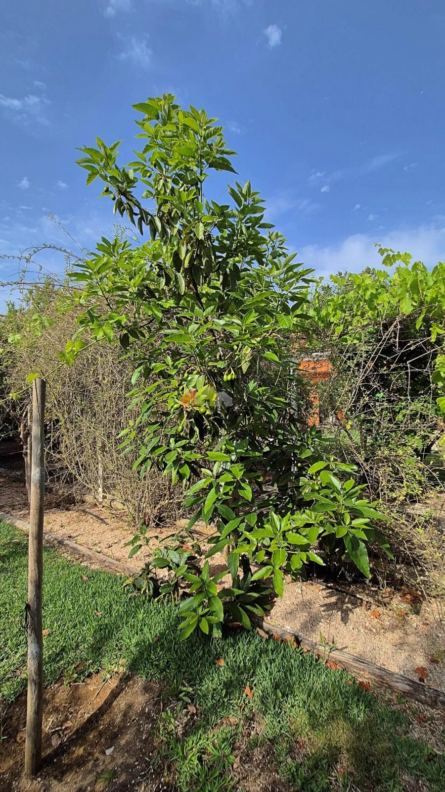Moradia T7 para Venda em Sobral de Monte Agraço Foto 100