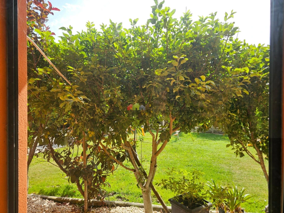 Moradia T7 para Venda em Sobral de Monte Agraço Foto 35