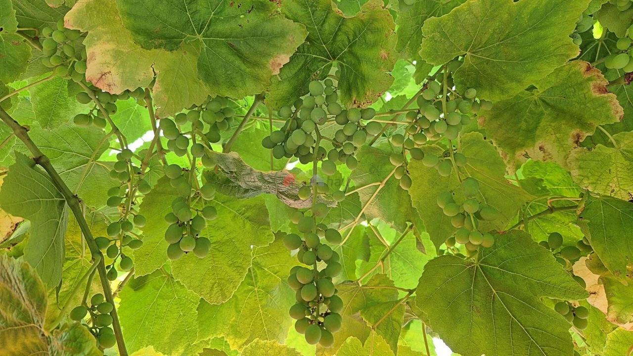 Moradia T7 para Venda em Sobral de Monte Agraço Foto 91