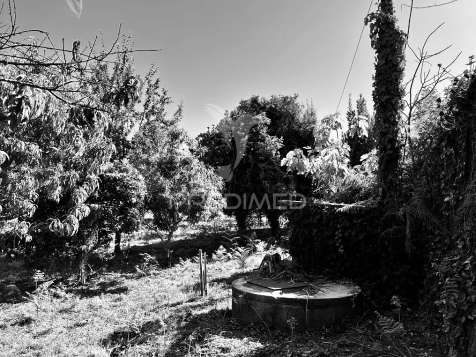 Terreno para Venda em Vermoim Foto 7