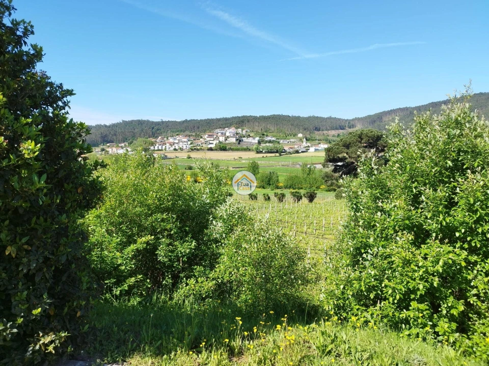 Moradia T3 para Venda em Silveiros e Rio Covo (Santa Eulália) Foto 15