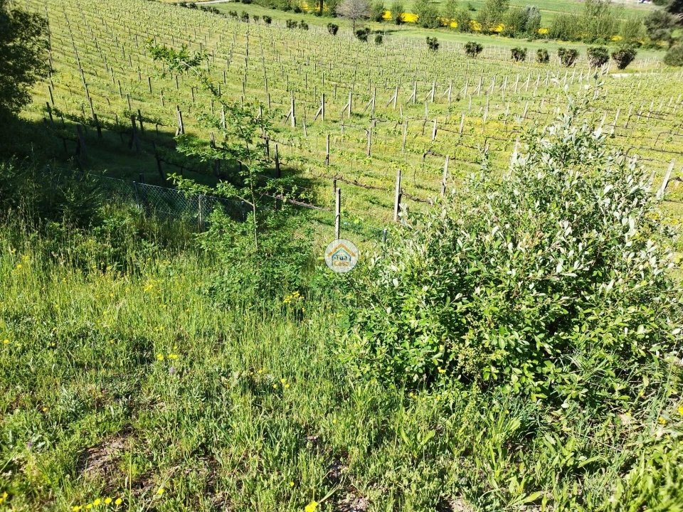 Moradia T3 para Venda em Silveiros e Rio Covo (Santa Eulália) Foto 17