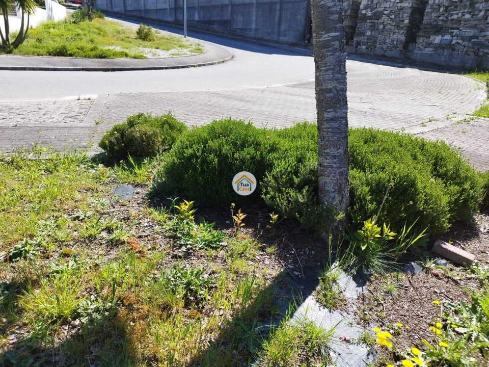 Moradia T3 para Venda em Silveiros e Rio Covo (Santa Eulália) Foto 14