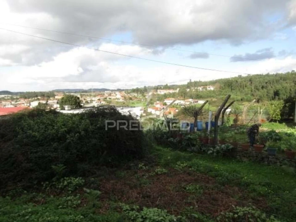 Terreno para Venda em Nogueira da Regedoura Foto 2