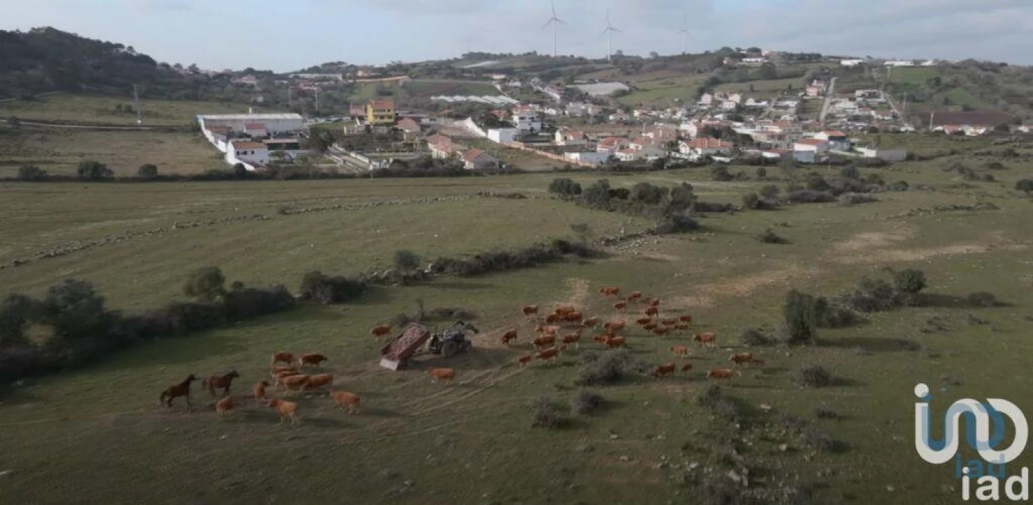 Terreno para Venda em Almargem do Bispo, Pêro Pinheiro e Montelavar Foto 5