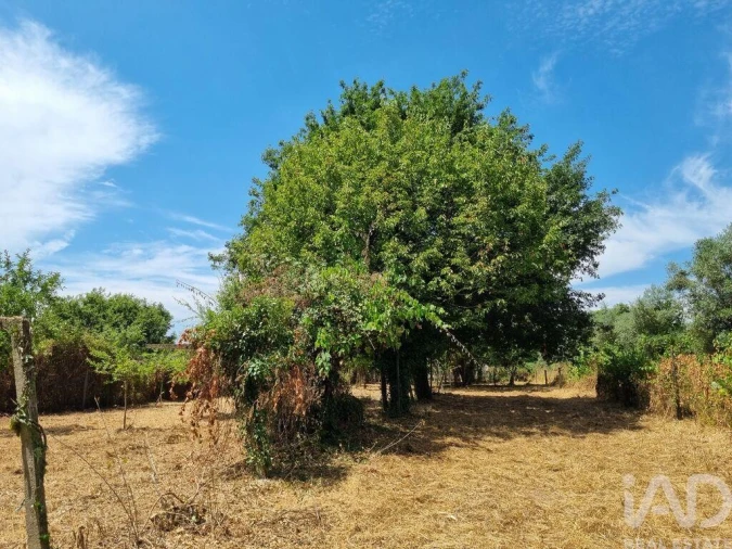 Moradia T1 para Venda em Sarzedo Foto 26