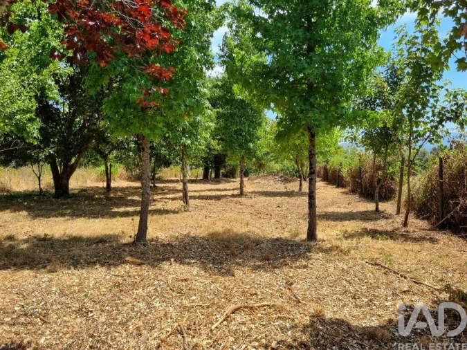 Moradia T1 para Venda em Sarzedo Foto 25