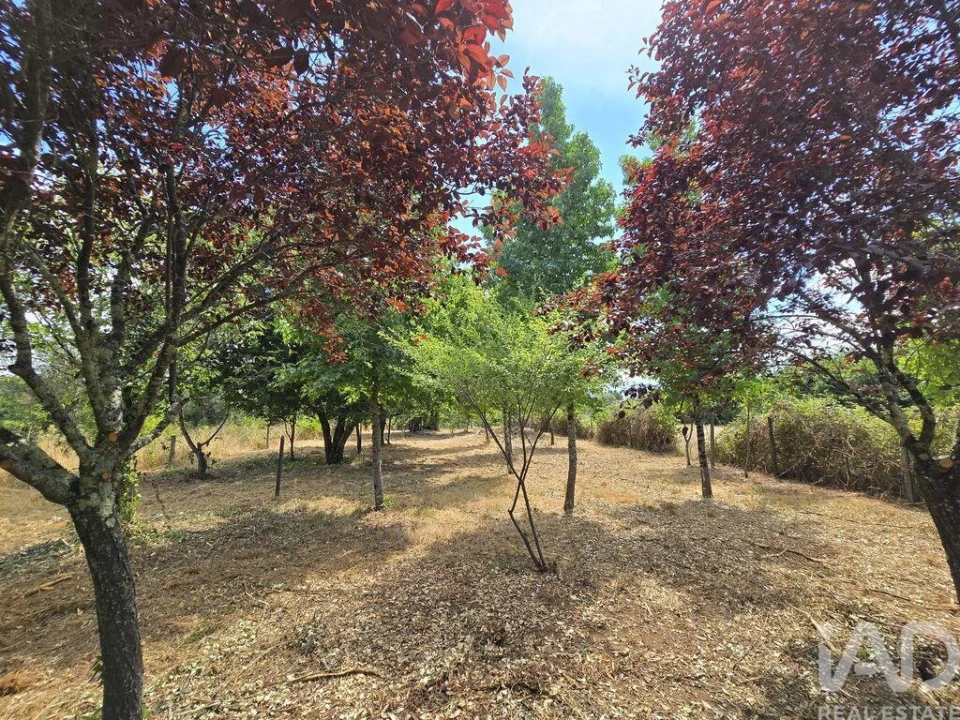 Moradia T1 para Venda em Sarzedo Foto 24