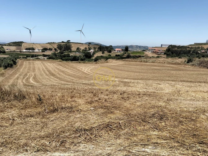 Terreno para Venda em Sapataria