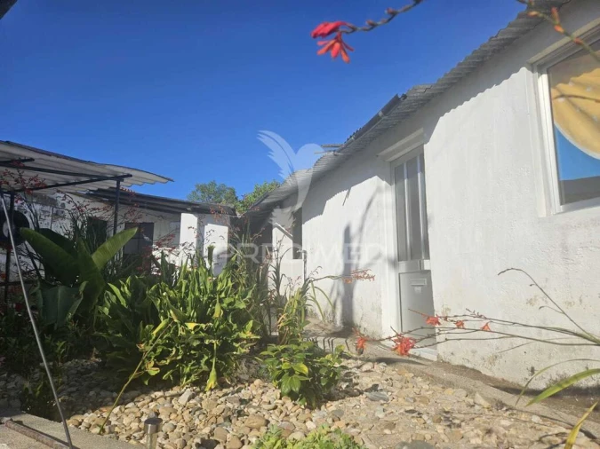 Moradia T3 para Venda em Paialvo Foto 4