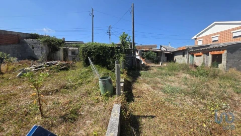 Terreno para Venda em Cacia