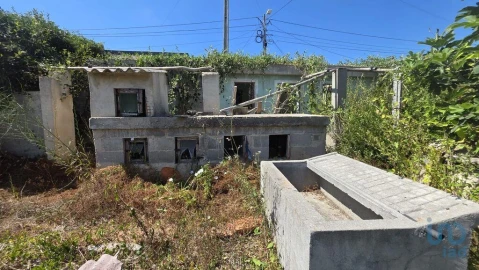 Terreno para Venda em Cacia