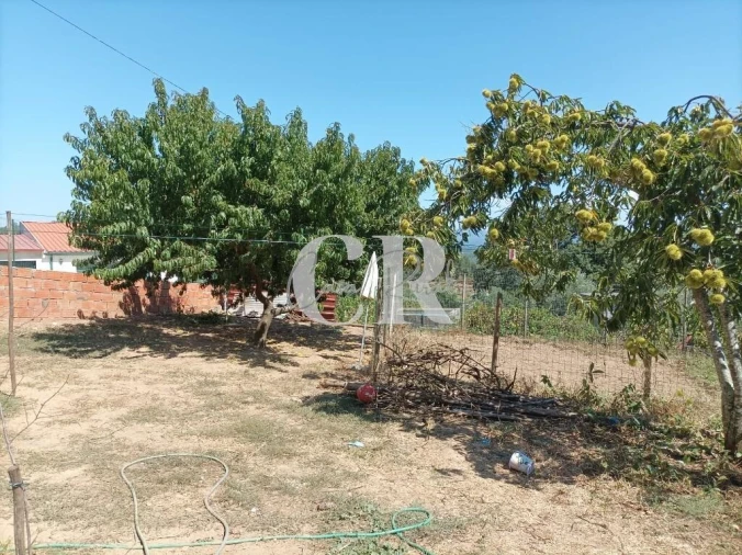 Moradia T3 para Venda em Figueiró dos Vinhos e Bairradas Foto 41
