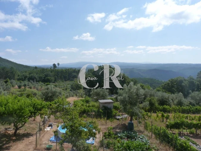 Moradia T3 para Venda em Figueiró dos Vinhos e Bairradas Foto 39