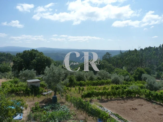 Moradia T3 para Venda em Figueiró dos Vinhos e Bairradas Foto 11