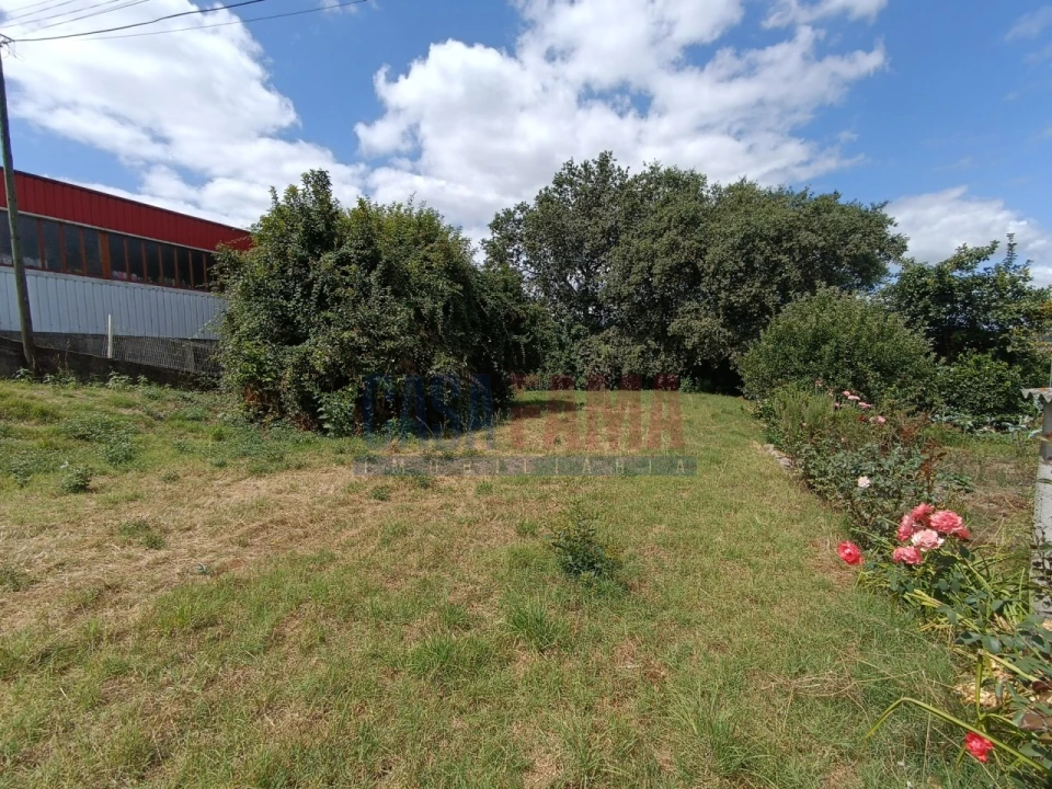Terreno para Venda em Serzedelo Foto 3