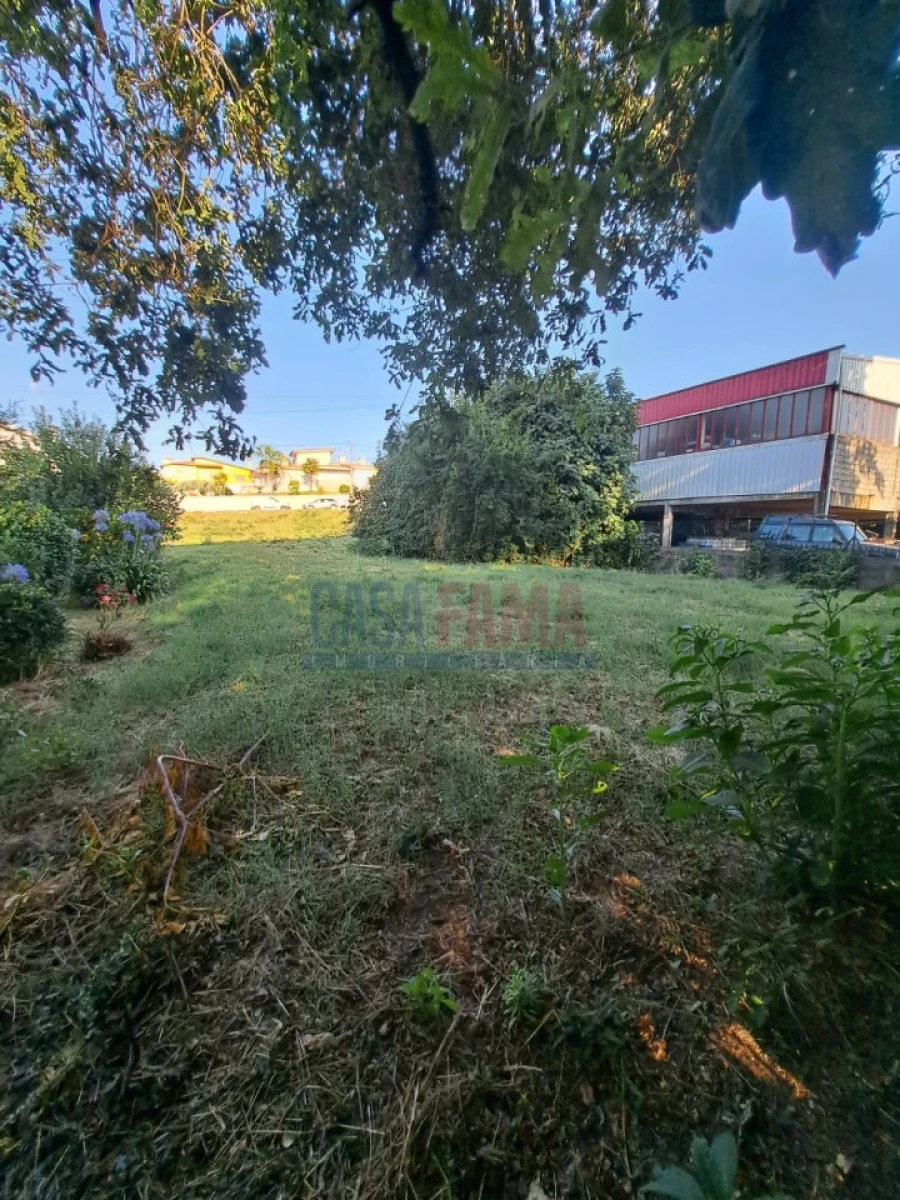 Terreno para Venda em Serzedelo Foto 13