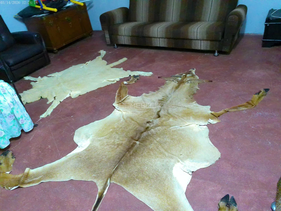 Moradia T5 para Venda em Santo Antonio das Areias Foto 43