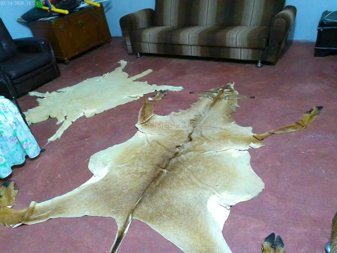 Moradia T5 para Venda em Santo Antonio das Areias Foto 43