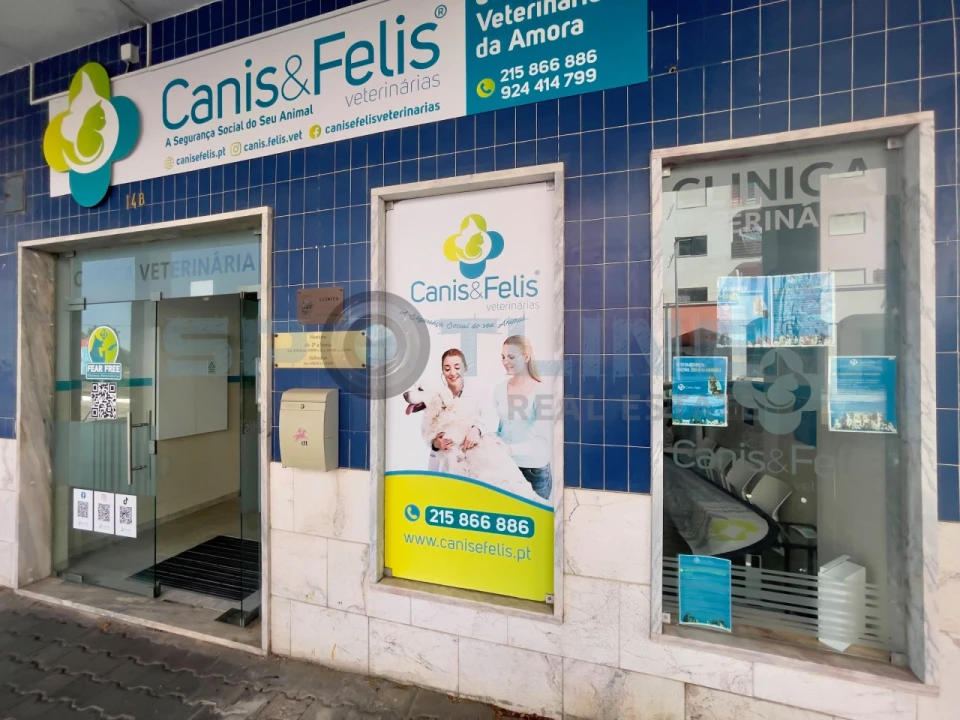 Loja para Arrendamento em Amora Foto 1