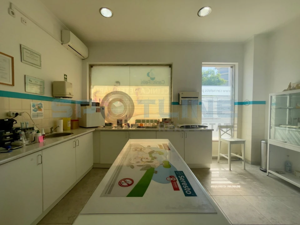 Loja para Arrendamento em Amora Foto 14