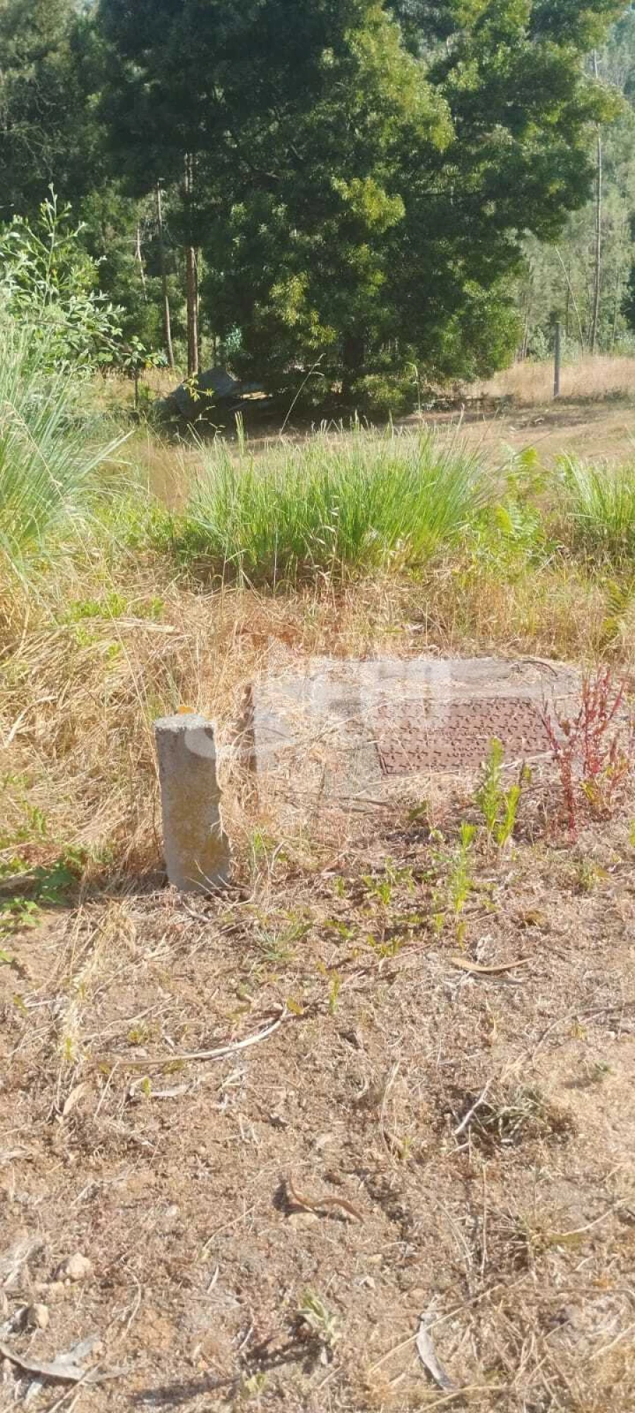 Terreno para Venda em Sandim, Olival, Lever e Crestuma Foto 4