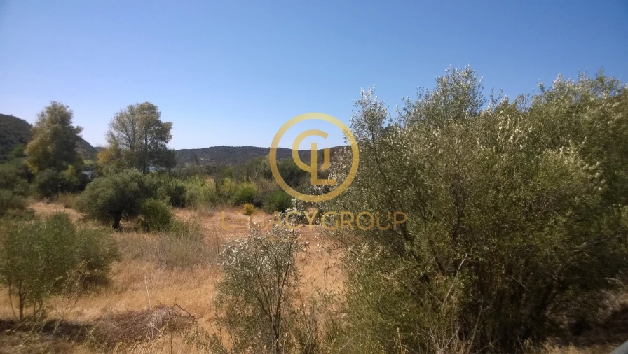 Terreno para Venda em Alcoutim e Pereiro Foto 7