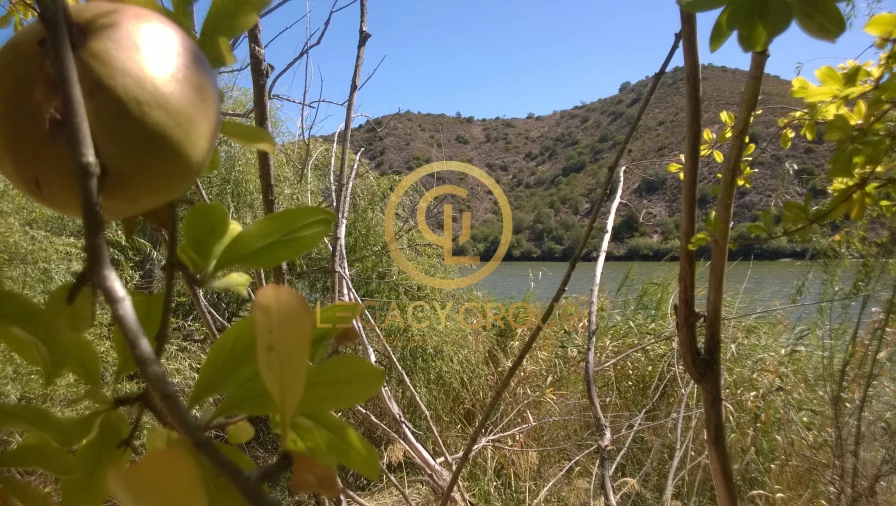 Terreno para Venda em Alcoutim e Pereiro Foto 15