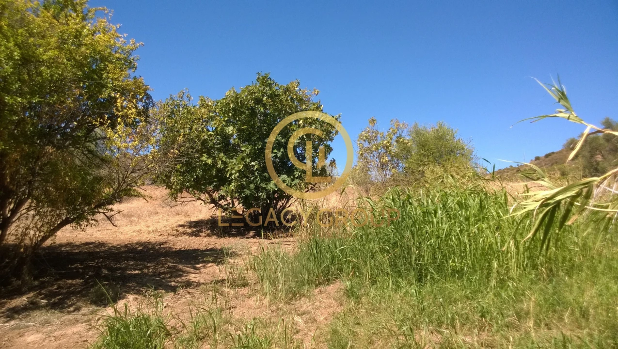 Terreno para Venda em Alcoutim e Pereiro Foto 17