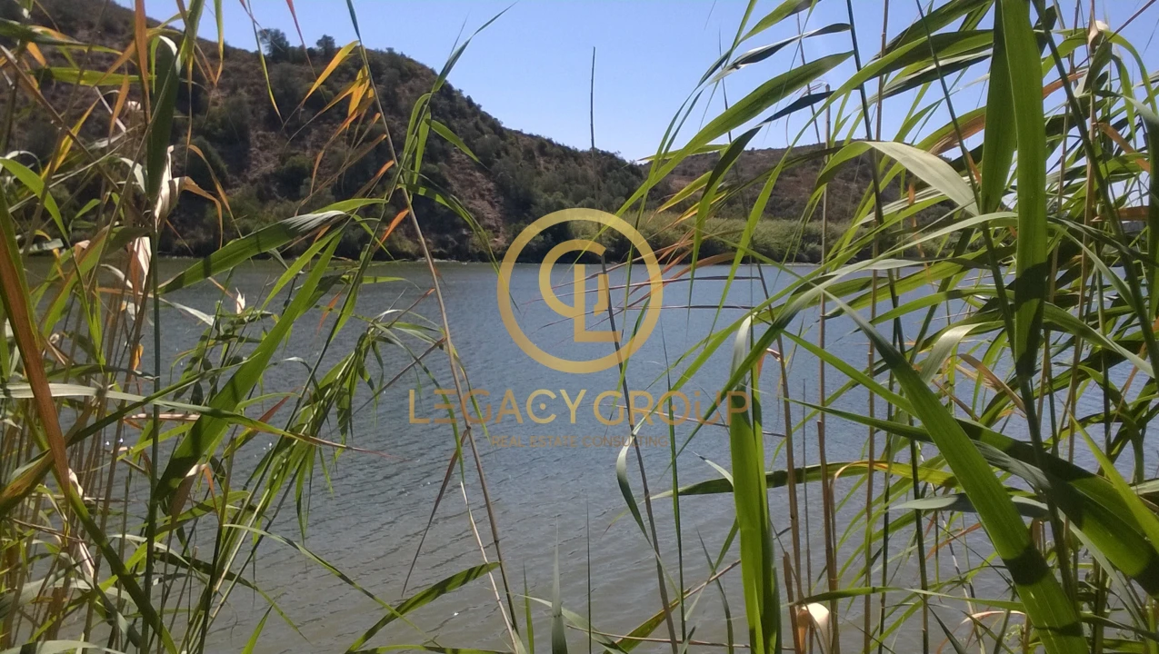 Terreno para Venda em Alcoutim e Pereiro Foto 19