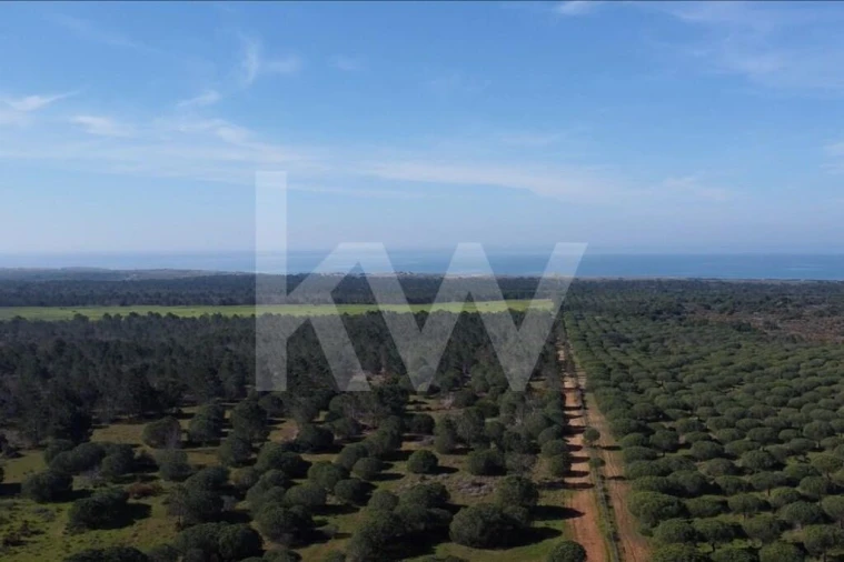Terreno para Venda em Porto Covo Foto 20