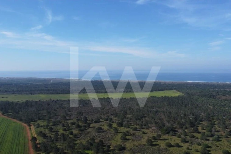 Terreno para Venda em Porto Covo Foto 3