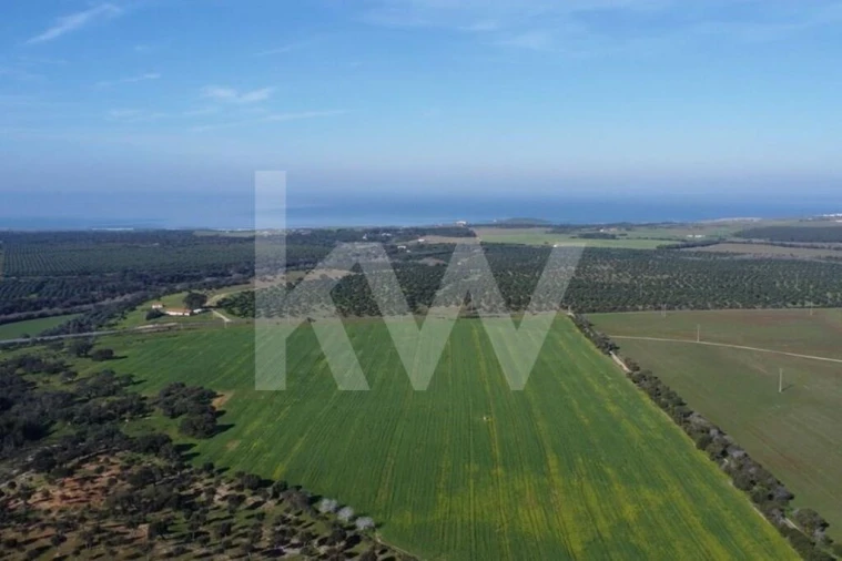 Terreno para Venda em Porto Covo Foto 6
