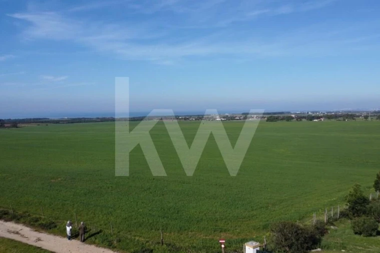 Terreno para Venda em Porto Covo Foto 16