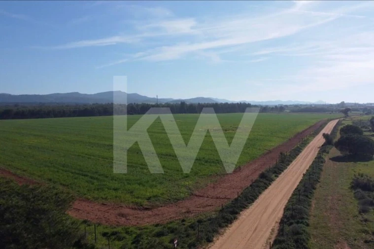 Terreno para Venda em Porto Covo Foto 19