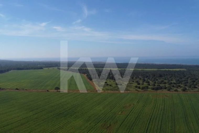 Terreno para Venda em Porto Covo Foto 27