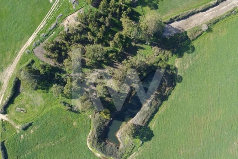 Terreno para Venda em Porto Covo Foto 33