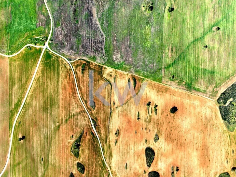 Terreno para Venda em Entradas Foto 4